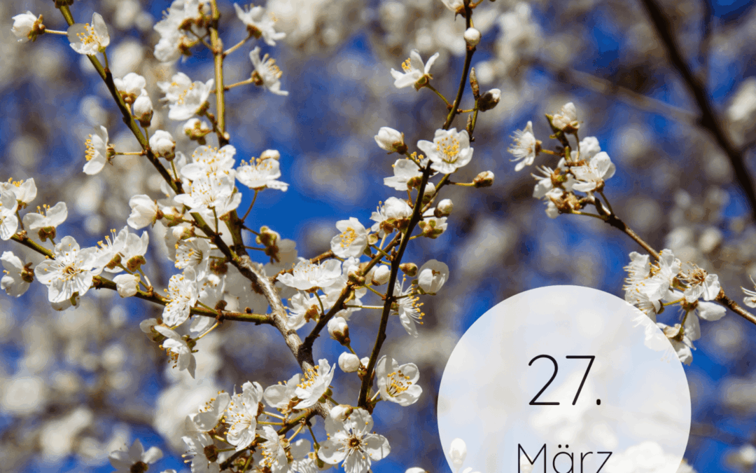 Fastenzeit-Kalender 2026: 27. März