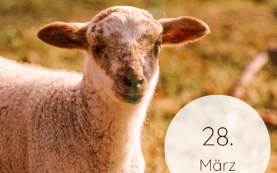 Fastenzeit-Kalender 2026: 28. März