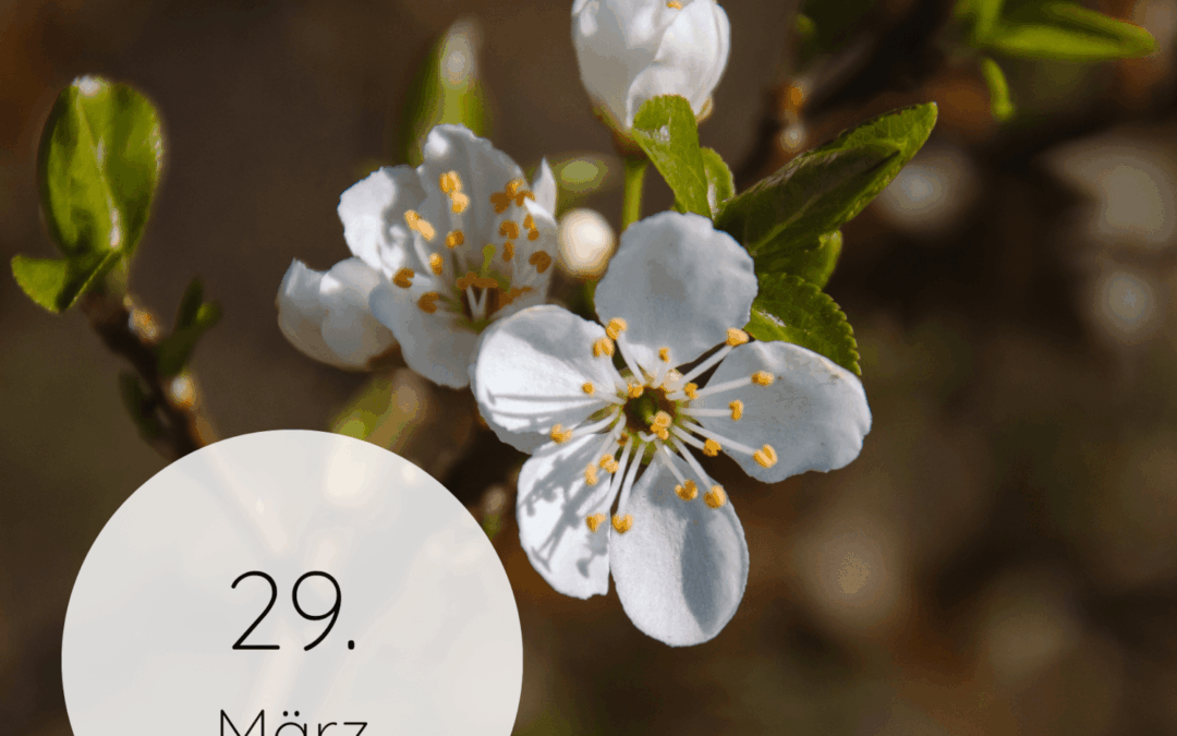 Fastenzeit-Kalender 2026: 29. März