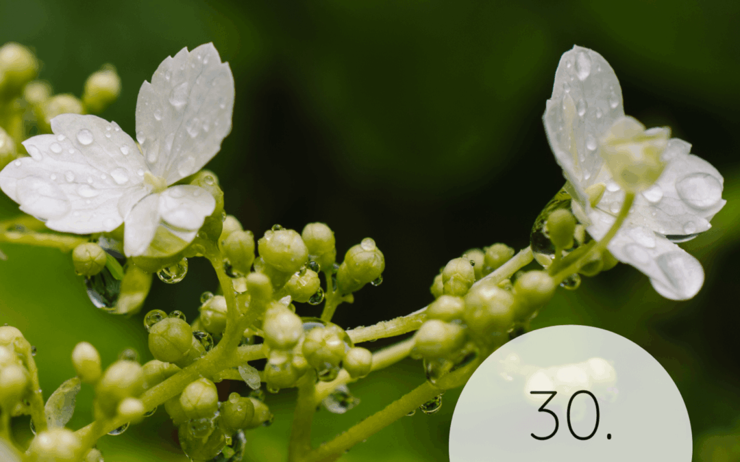 Fastenzeit-Kalender 2026: 30. März