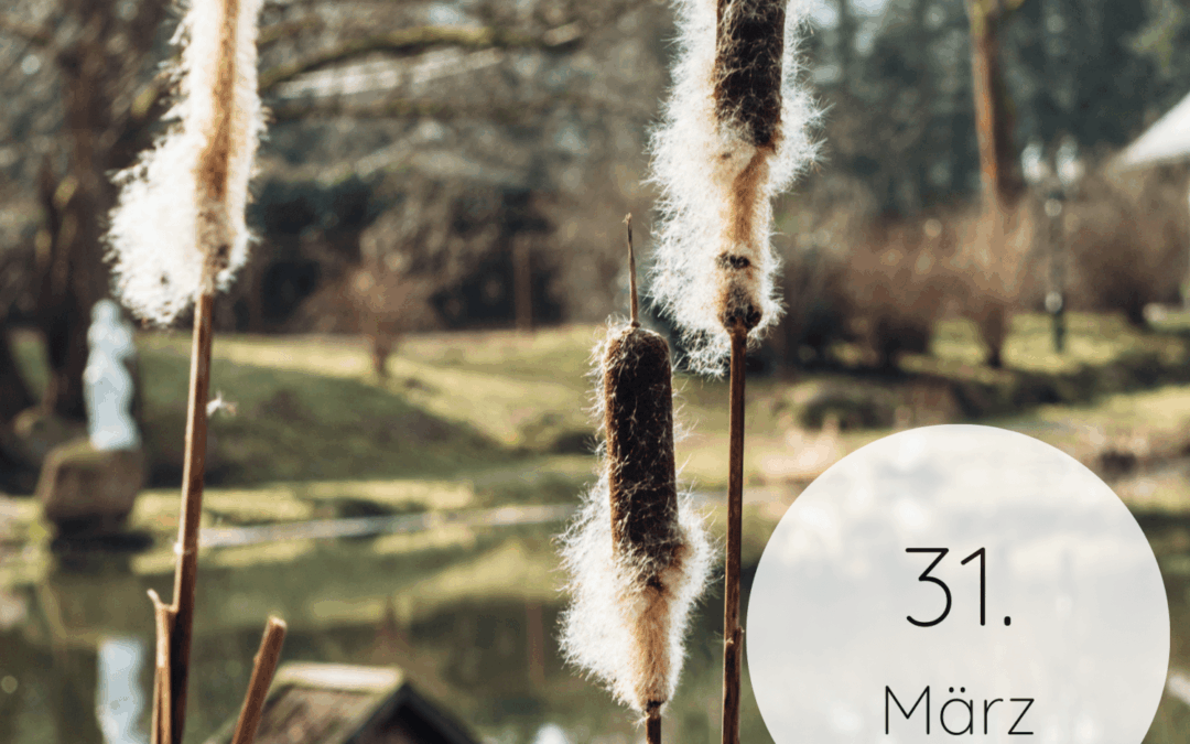 Fastenzeit-Kalender 2026: 31. März