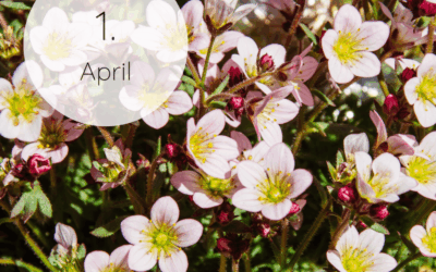 Fastenzeit-Kalender 2026: 1. April