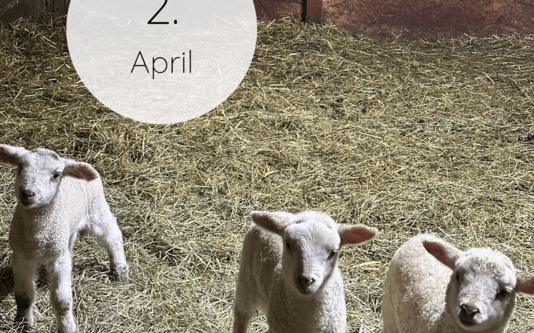Fastenzeit-Kalender 2026: 2. April