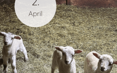 Fastenzeit-Kalender 2026: 2. April